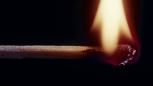 These New Puritans 'Wild Fields' music video