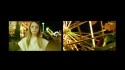 Napoleon Gold 'Aqua Regia (Royal Water)' Music Video