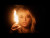 Bebe Rexha 'Sabotage' music video