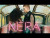 Irama 'Nera' music video