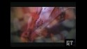 Gruntruck 'Not A Lot to Save' Music Video