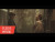 WONWOO x MINGYU 'Bittersweet' music video