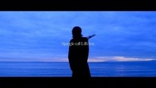 Spangle Call Lilli Line 'Tesla' music video