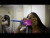 Flippa T 'Affirmations' music video