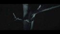 Black Crucifixion 'Millions Of Twigs Guide Your Way Through The Forest' Music Video