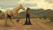 Lainey Wilson 'Wildflowers and Wild Horses' music video
