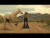 Lainey Wilson 'Wildflowers and Wild Horses' music video