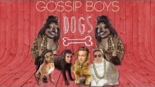 Gossip Boys 'Dogs (Barking at Me)' music video