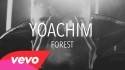 Yoachim 'Forest' Music Video