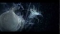 Björk 'My Snare/Nature Is Ancient' Music Video