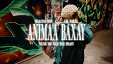 Sharma Boy 'Animaa Baxay' music video