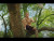 Zack Villere 'Rope Swing' music video