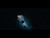 Tash Sultana 'Something in the Water' music video