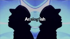 Analogfish 'Baby Soda Pop' music video