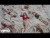 Reneé Rapp 'Leave Me Alone' music video