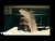 Anitta 'Romeo' music video