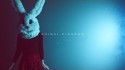Chaos Emeralds 'Animal Kingdom' Music Video