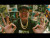 Logic 'Catch Me If You Can' music video