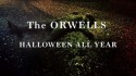 The Orwells 'Halloween All Year' Music Video