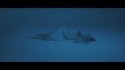 Debrah Scarlett 'Cynical Youth' Music Video