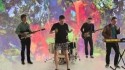 !!! 'One Girl/One Boy' Music Video