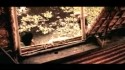 Die Firma 'Kap der Guten Hoffnung' Music Video