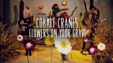 Cobalt Cranes 'Flowers On Your Grave' music video