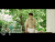 KYUHYUN 'Together' music video