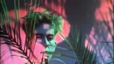 Fun Boy Three 'The Lunatics (Have Taken Over The Asylum)' music video