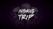 SoulFactor 'Insane Trip' music video