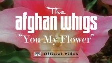 The Afghan Whigs 'You My Flower' music video