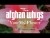 The Afghan Whigs 'You My Flower' music video