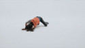 Sufjan Stevens 'Tell Me You Love Me' Music Video