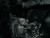 Circuit Des Yeux 'Canopy of Eden' music video