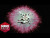 LE SSERAFIM 'Impurities' music video