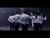 Beast (8) 'Ribbon' music video