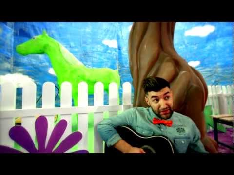 Smiley Cai Verzi Pe Pereti 2012 Imvdb