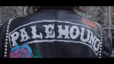 Palehound 'Carnations' music video