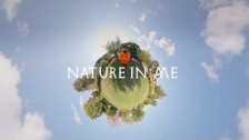 Omari Jazz, Bocha & Donte Thomas 'Nature In Me' music video