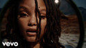 Halle 'Braveface' Music Video