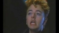 Stray Cats 'I Won't Stand In Your Way' music video
