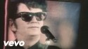 Roy Orbison 'You Got It' Music Video