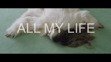 Strangers on a Plane 'All My Life' music video