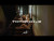ARIA VEGA 'TOTOTO' music video
