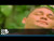 Binomio de Oro de América 'Olvídala' music video