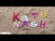 Kate Nash 'Drink About You' music video