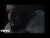 Drake 'Gen 5' music video