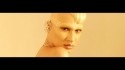 Animal Feelings 'Chemical Love' Music Video