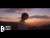RM 'Wild Flower' music video
