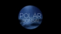 Polär 'Bonsai' Music Video